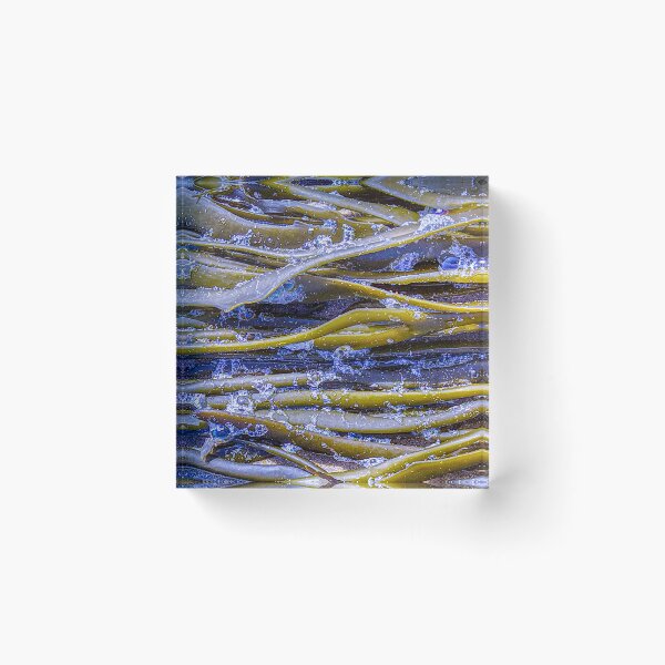 Item preview, Seaweed on Sandy Beach designed and sold by DFLC Prints.