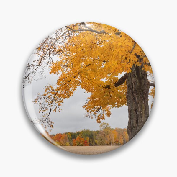 Item preview, An Autumn Cornfield designed and sold by James Cumming.