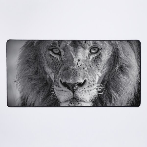 Item preview, Black and White Lion Portrait – Powerful African Lion Close-Up Wildlife Photography designed and sold by LazyOwlStore.