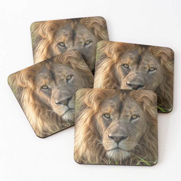 Item preview, Majestic African Lion Close-Up Portrait – Wild Lion Resting in Tall Grass designed and sold by LazyOwlStore.