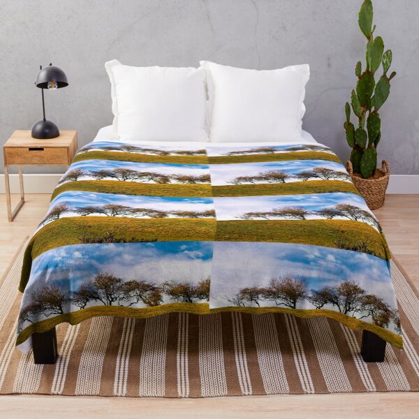 Item preview, Winter Sunshine over a Hawthorne treeline designed and sold by Violaman.