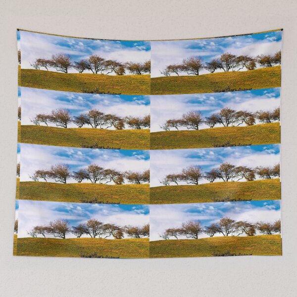 Item preview, Winter Sunshine over a Hawthorne treeline designed and sold by Violaman.