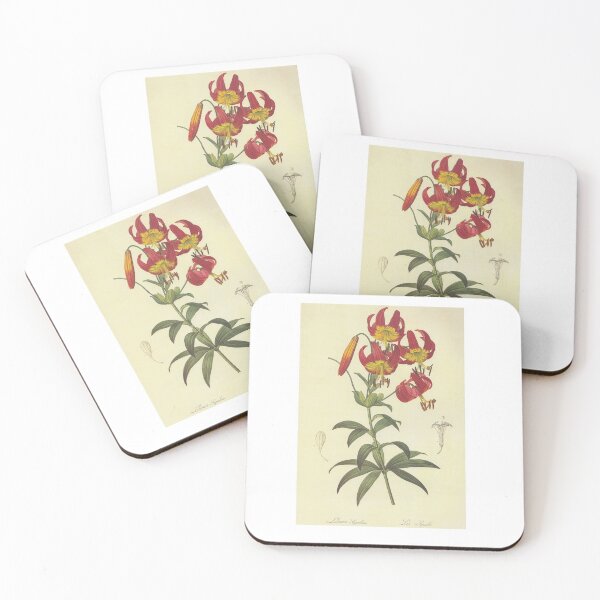 Item preview, Botanical Super Lily designed and sold by YaelleDark.
