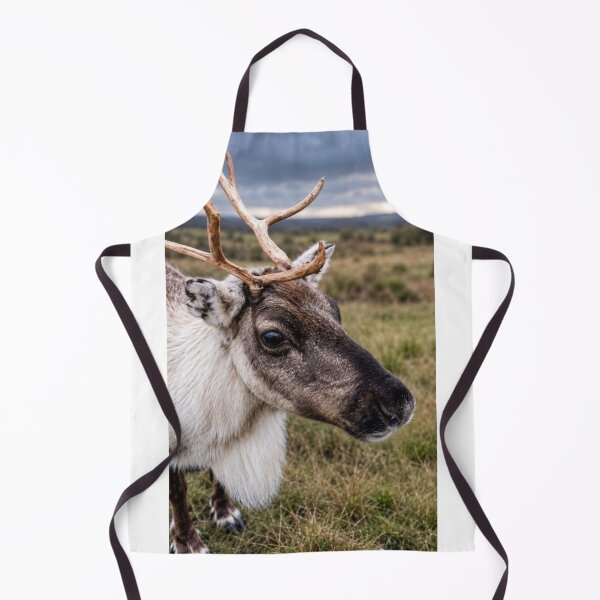 Item preview, Reindeer Portrait on the Moorlands designed and sold by Astute-Artio-Photography.