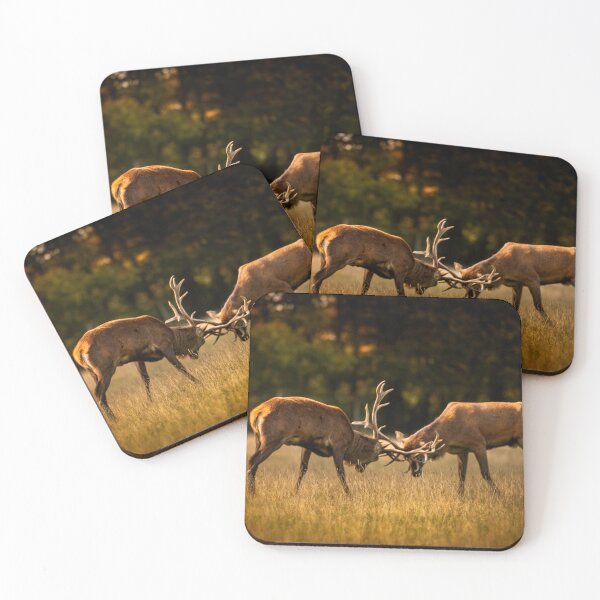 Item preview, Autumn Glow and Antlers - Tatton Park  designed and sold by Darren Wilkes Wildlife UK.