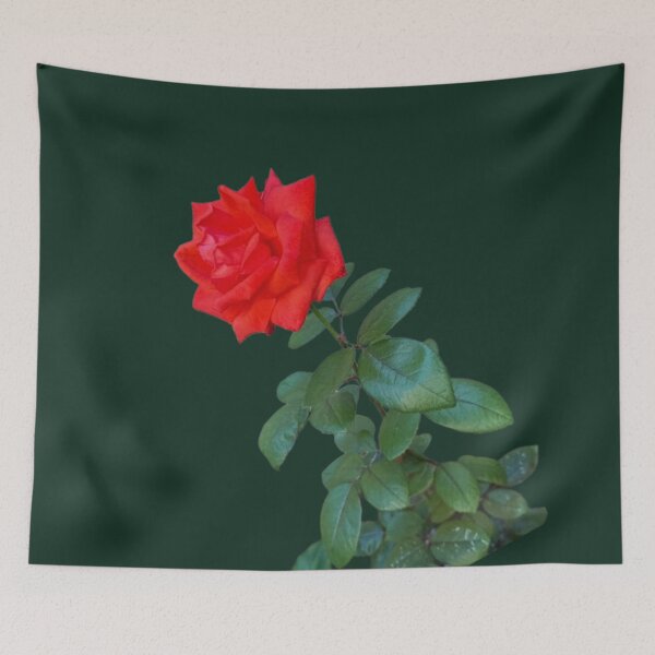 Item preview, Vibrant Red Rose Stem - Isolated Long Stem Botanical Cutout designed and sold by BalkanBloomArt.