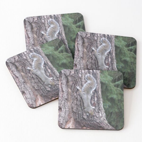 Item preview, Gray Squirrel Descending the Trunk designed and sold by lorielynn92.