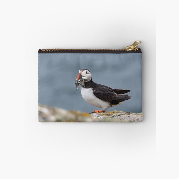 Item preview, Close up of an Atlantic puffin (Fratercula arctica) with mouth full of sand eels designed and sold by JPopov.