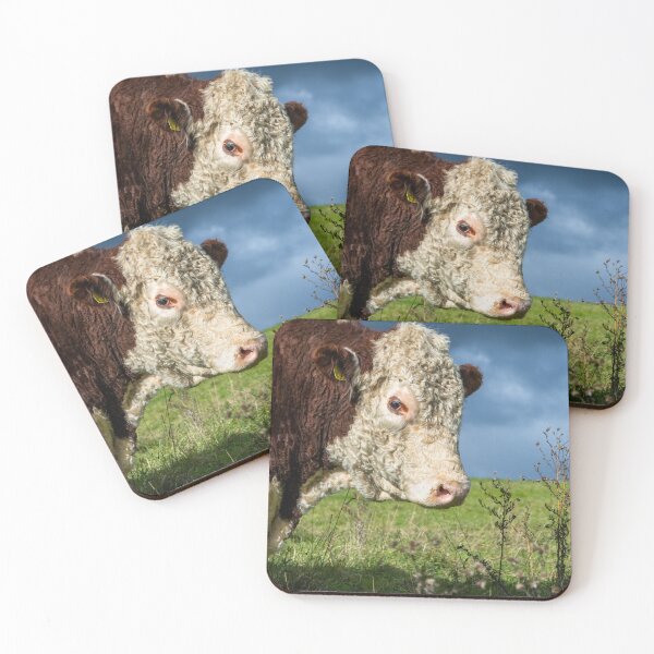 Item preview, Hereford Bull Portrait designed and sold by Jane Stanley Photography.