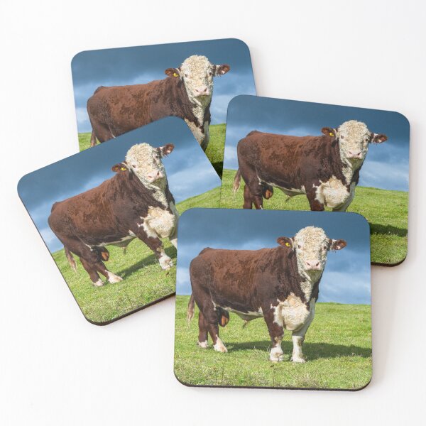 Item preview, Hereford Bull  designed and sold by Jane Stanley Photography.