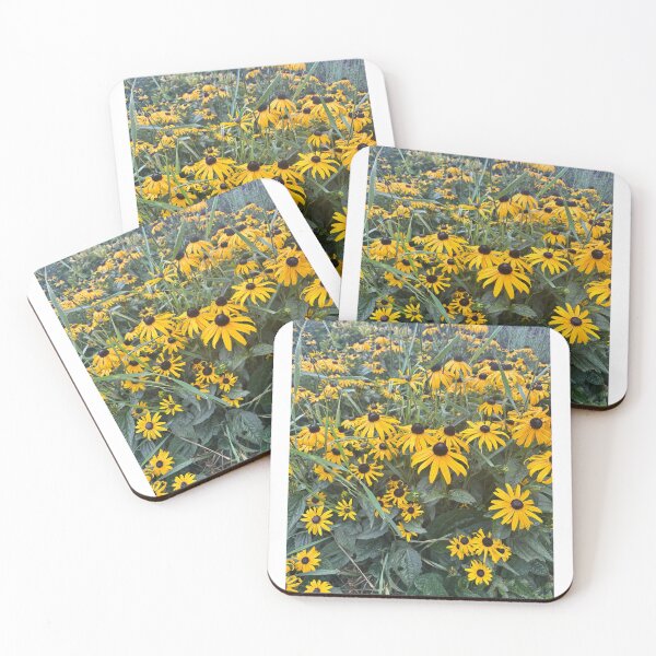 Item preview, Golden Yellow Black Eyed Susan Flowers – Summer Wildflower Garden Photography designed and sold by ThatSurreyLife.