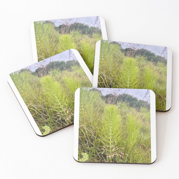 Item preview, Wild Green Field Horsetail Plant – Botanical Nature Photography and Woodland Flora designed and sold by ThatSurreyLife.