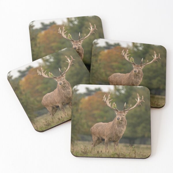 Item preview, The Imperial Stag - Tatton Park designed and sold by Darren Wilkes Wildlife UK.