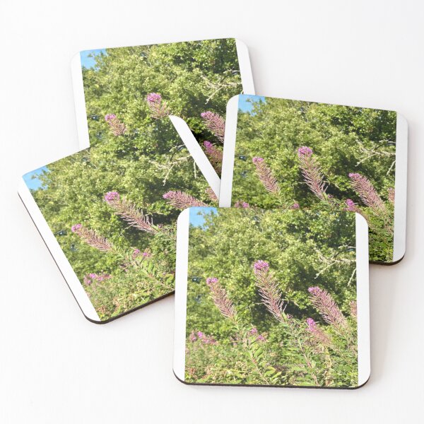 Item preview, Delicate Pink Rosebay Willowherb – Summer Botanical Wildflower Photography designed and sold by ThatSurreyLife.