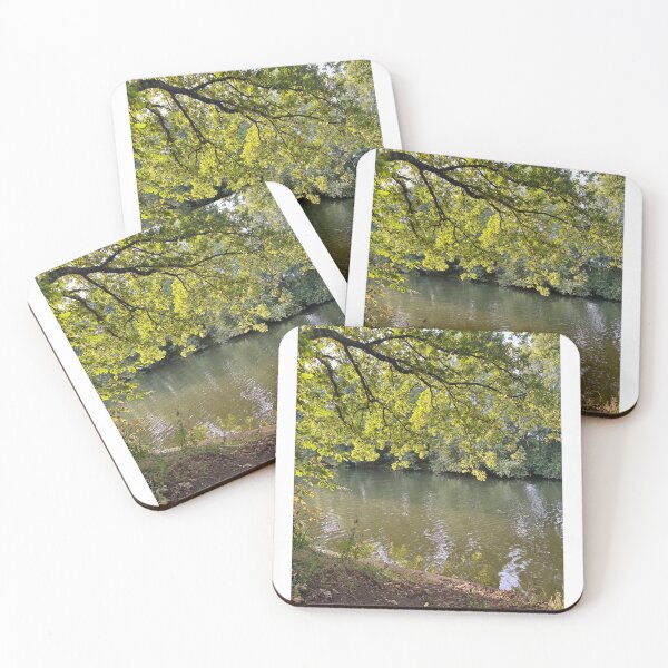 Item preview, Swans and Ducks on the River Thames – Peaceful English Riverside Wildlife Photography designed and sold by ThatSurreyLife.