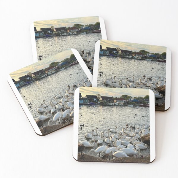 Item preview, Beautiful White Swans on the River Thames at Sunset – British Wildlife Photography designed and sold by ThatSurreyLife.