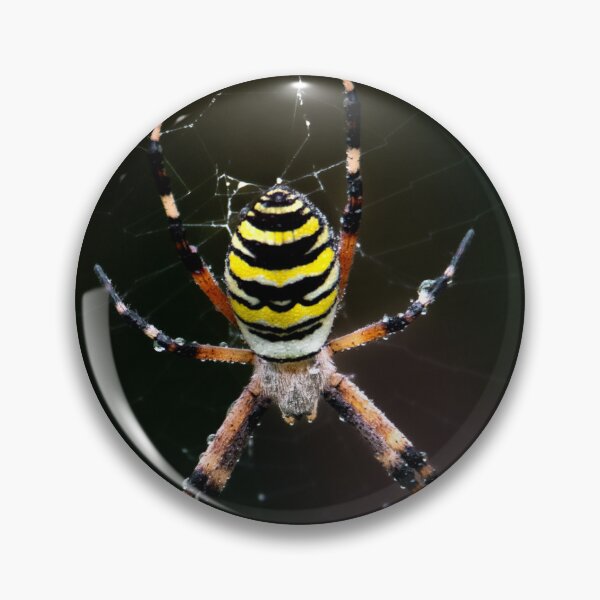 Item preview, Wasp Spider – Yellow and Black Wildlife Photography designed and sold by Davidewildphoto.