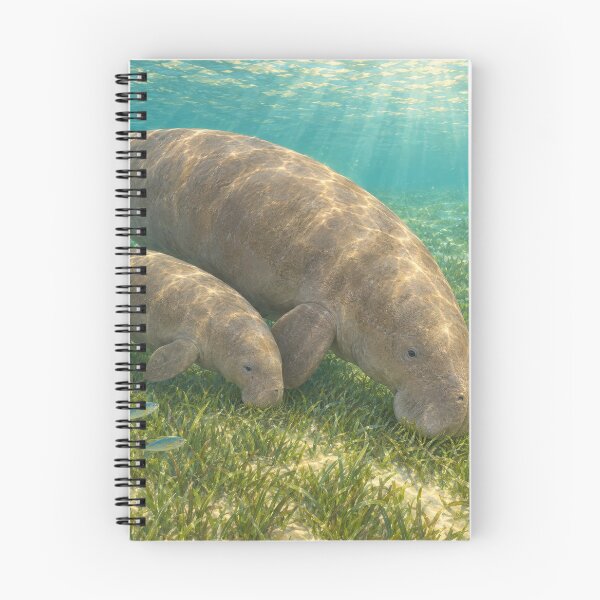Item preview, The Sea Cow — Dugong Mother and Calf over a Seagrass Meadow, Ocean Wildlife Art designed and sold by mushizaman.
