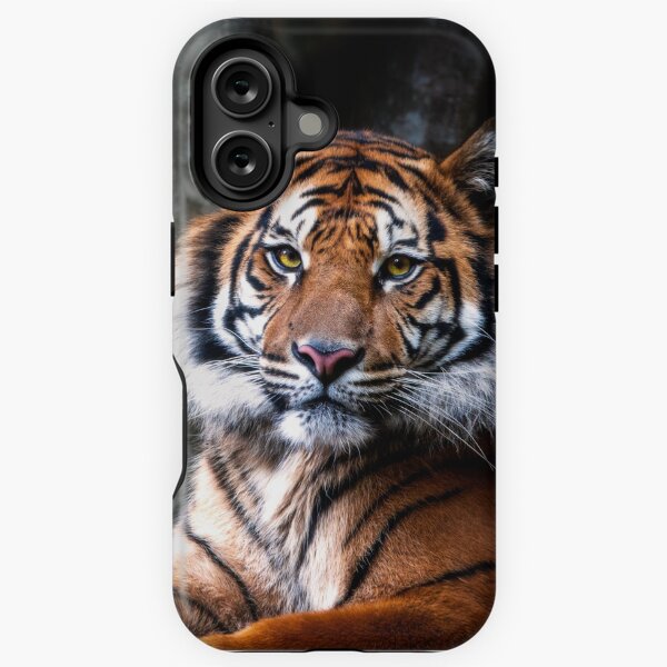 Artikel-Vorschau von Tiger, designt und verkauft von Robert J Smith.