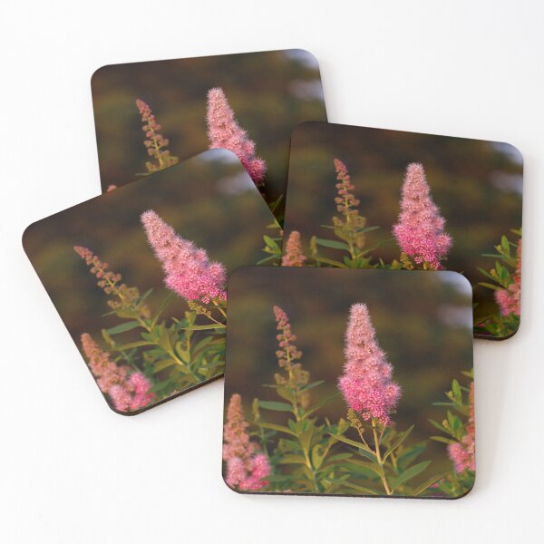 Item preview, Pink Spirea Flowers Glowing in Golden Evening Light designed and sold by celinebisson.