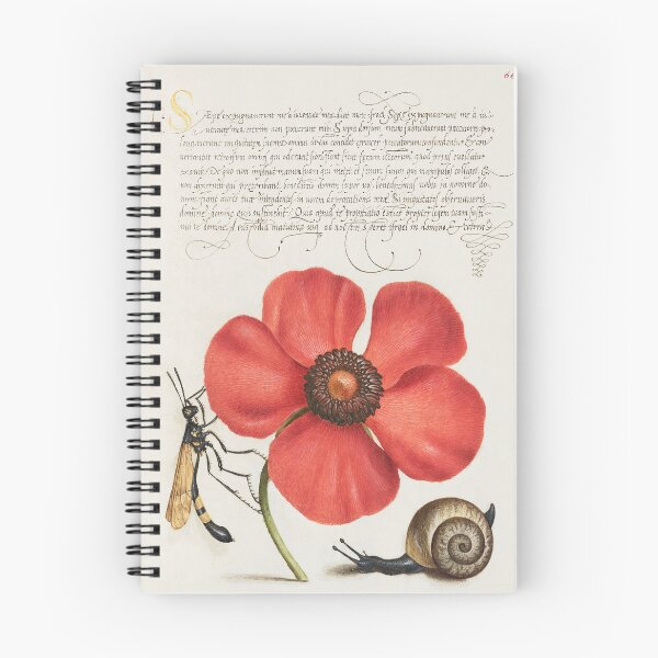 Item preview, Terrestrial Mollusk, Poppy Anemone, and Crane Fly from Mira Calligraphiae Monumenta or The Model Book of Calligraphy (1561–1596) by Georg Bocskay and Joris Hoefnagel. designed and sold by AngyDesigns49.