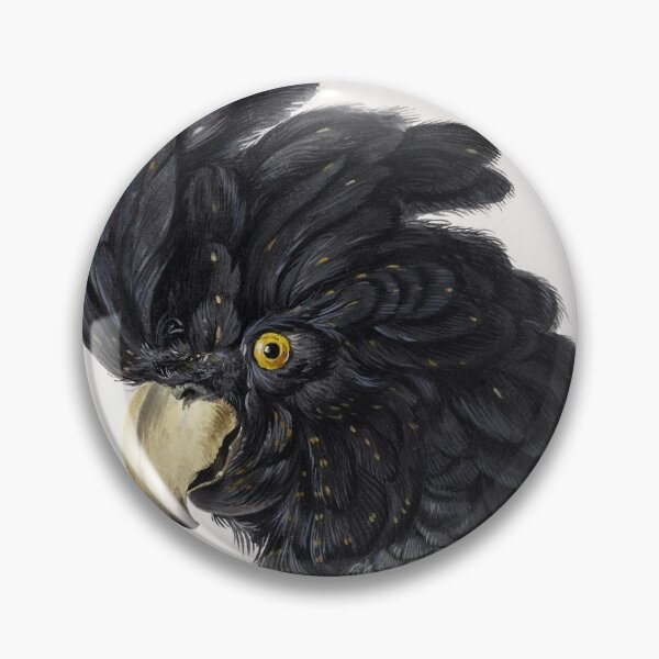 Item preview, Head of a Cockatoo (1725 - 1792) by Aert Schouman. designed and sold by AngyDesigns49.