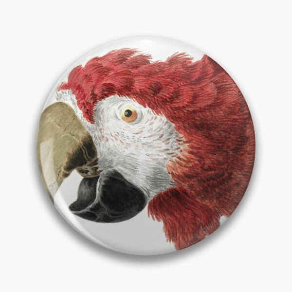 Item preview, Head of a Macaw (1725–1792) by Aert Schouman. designed and sold by AngyDesigns49.
