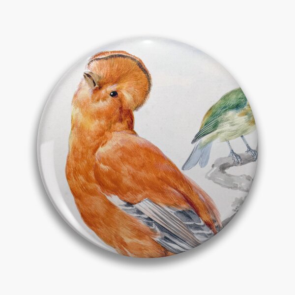 Item preview, Two Exotic Birds (1762) by Aert Schouman.  designed and sold by AngyDesigns49.