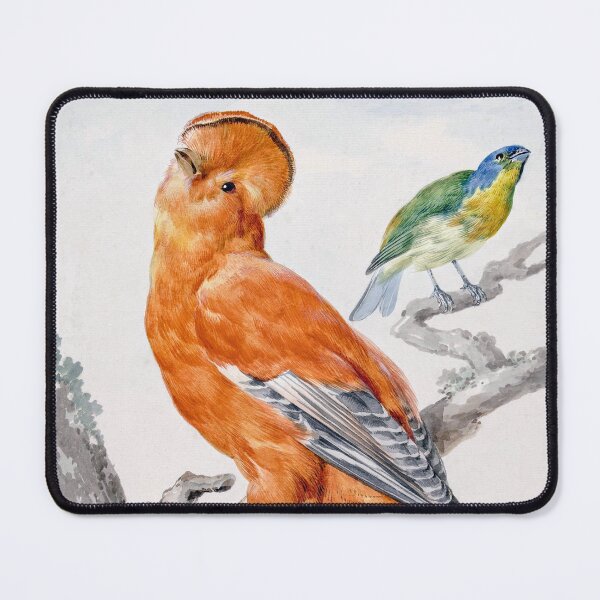 Item preview, Two Exotic Birds (1762) by Aert Schouman.  designed and sold by AngyDesigns49.