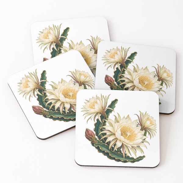 Item preview, Night Blooming Cactus Lunar Botanical Illustration designed and sold by Drip stamp.