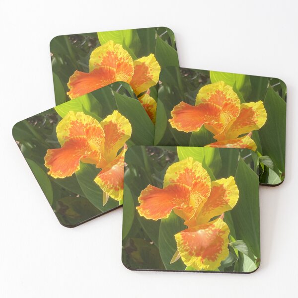 Item preview, Canna in morning sun designed and sold by Ben Waggoner.