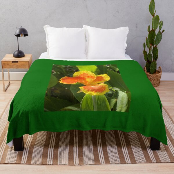 Item preview, Canna in morning sun designed and sold by Ben Waggoner.