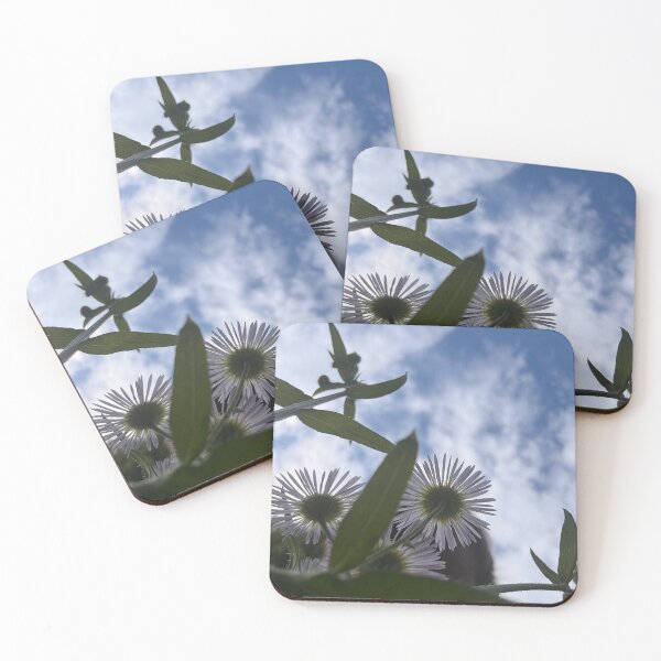 Item preview, Looking Skyward designed and sold by TLukeJackson.