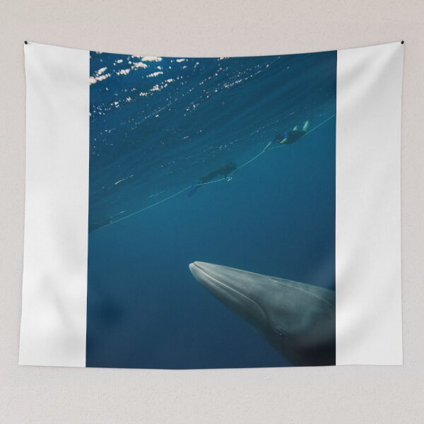 Item preview, Dwarf Minke Whale designed and sold by Robert J Smith.