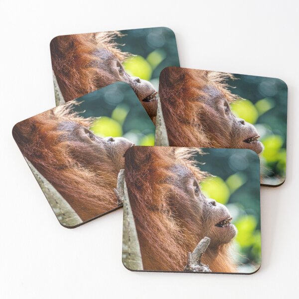 Item preview, Orang Utan 15 designed and sold by photograham.