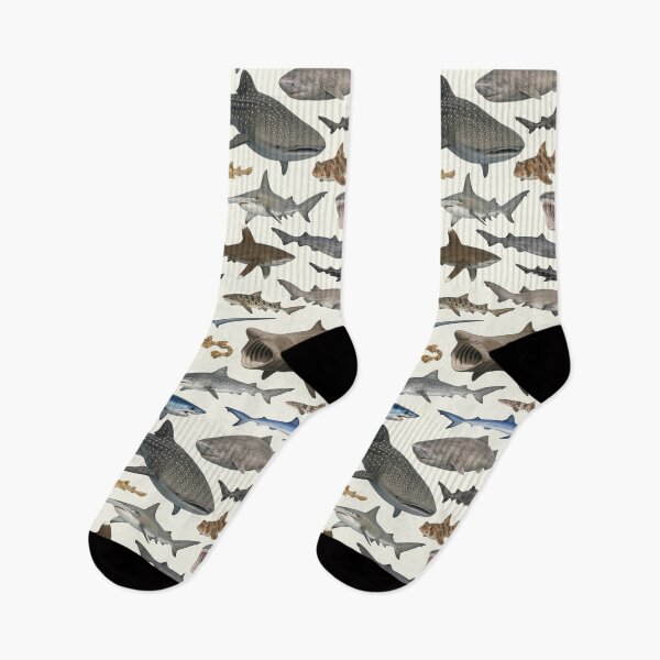 Item preview, Sharks of the World Retro Style Wildlife Identification Chart designed and sold by kakarikihill.