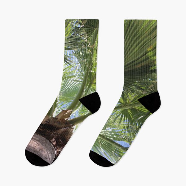 Item preview, Palm Tree Under View designed and sold by Preston Simon.