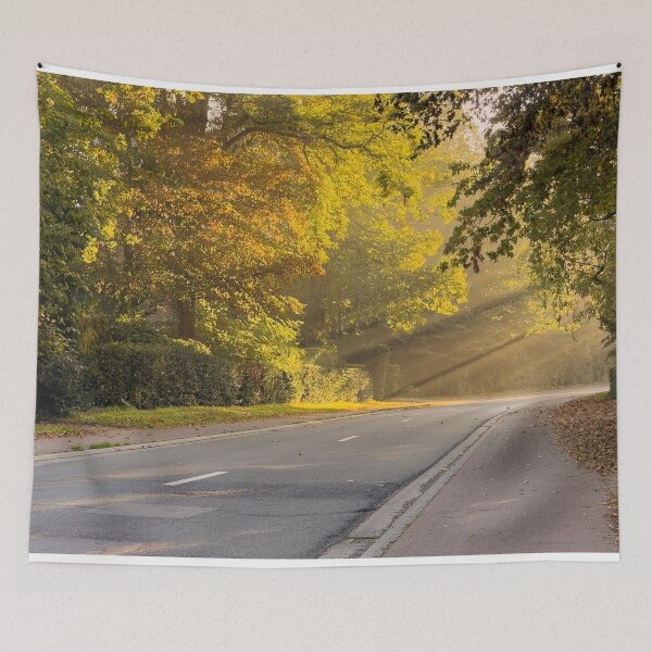 Item preview, Golden Autumn Sunlight on a Peaceful Forest Road designed and sold by Between Clouds.
