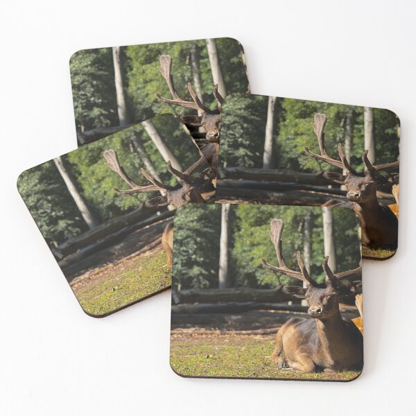 Item preview, Majestic Red Deer Stag Resting in the Forest designed and sold by Between Clouds.