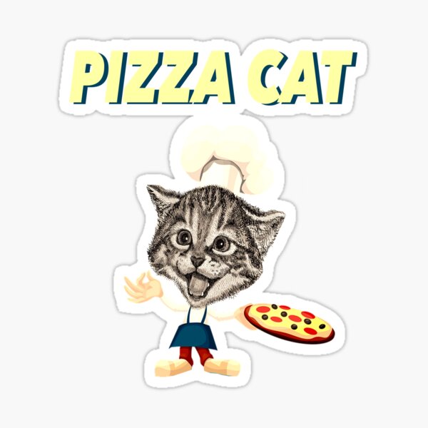 Funny Dj Pizza Cat Hoodie – D&F Clothing