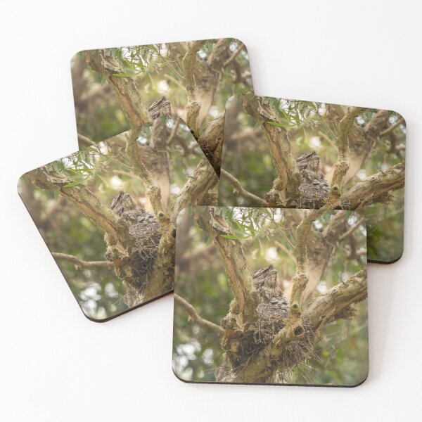 Item preview, Tawny Frogmouth with Chic designed and sold by robdanimalphotography.