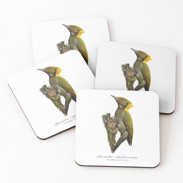 Item preview, Greater Yellownape on Mossy Branch Bird Illustration designed and sold by Takeda-art.