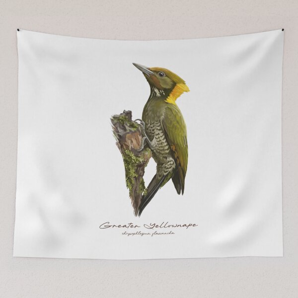 Item preview, Greater Yellownape on Mossy Branch Bird Illustration designed and sold by Takeda-art.