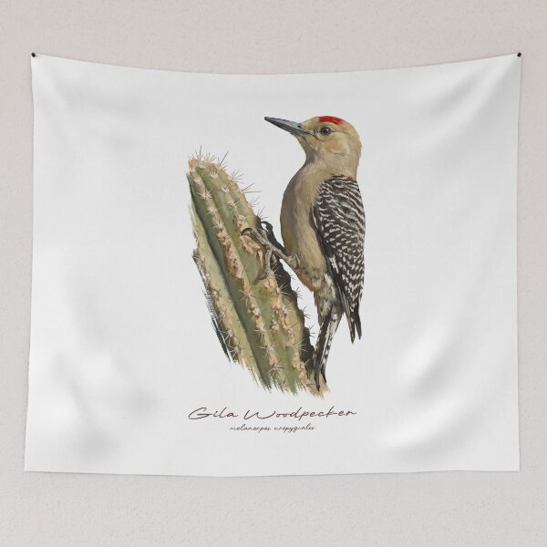 Item preview, Gila Woodpecker on Cactus Bird Illustration designed and sold by Takeda-art.