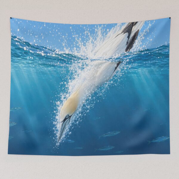 Item preview, The Dive — Northern Gannet Hitting the Water, Coastal Seabird Wildlife Art designed and sold by mushizaman.