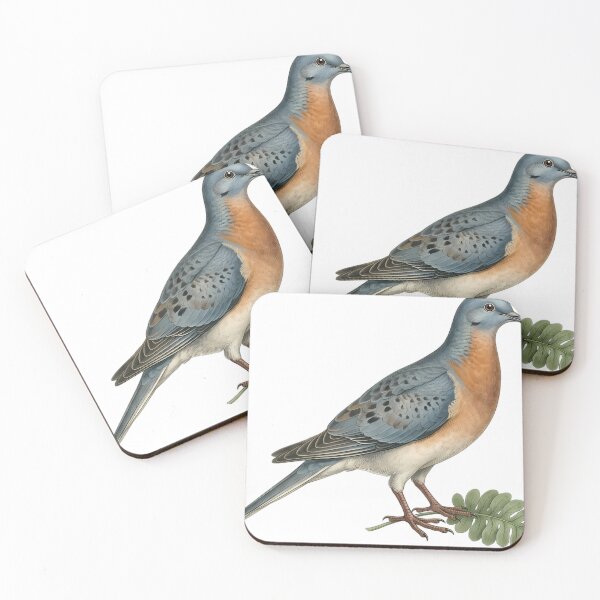 Item preview, Vintage Naturalist Passenger Pigeon on a Fern — Antique Extinct Bird Print designed and sold by Catch333.