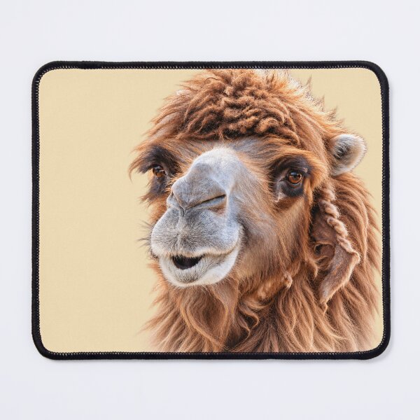Item preview, Funny Shaggy Bactrian Camel Portrait designed and sold by Medve Photography & Design.