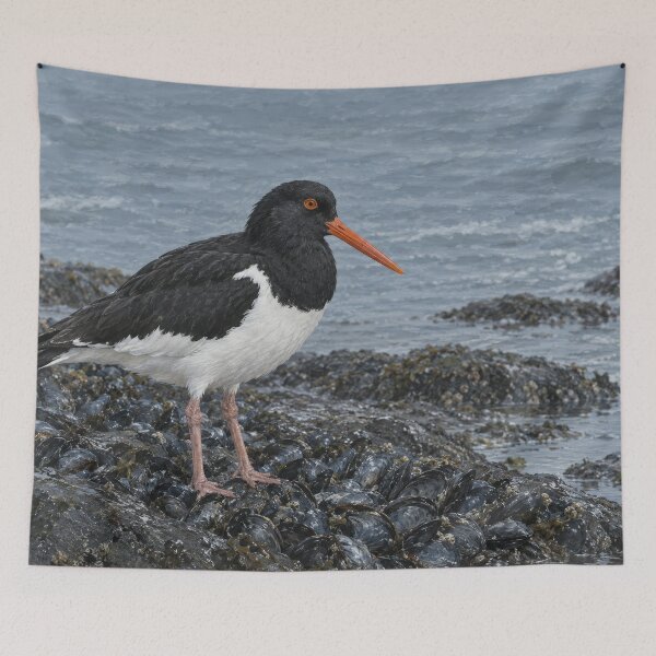 Item preview, Oystercatcher on Mussels — Coastal Wading Bird at Low Tide, Naturalist Bird Art designed and sold by mushizaman.