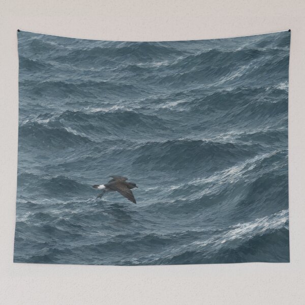 Item preview, Petrel Over Open Water — Storm Petrel Skimming the Sea, Coastal Bird Art designed and sold by mushizaman.