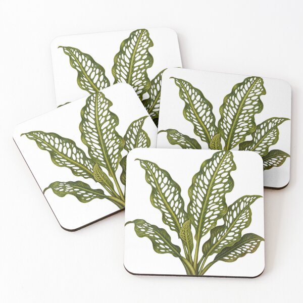 Item preview, Madagascar Lace Plant Botanical Oil Portrait designed and sold by Ocelot-T.